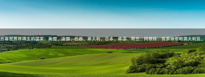2026世界杯德国队阵容：历届世界杯得主的国家：美国、法国、巴西、意大利、日本、德国、荷兰、阿根廷、克罗地亚和澳大利亚。