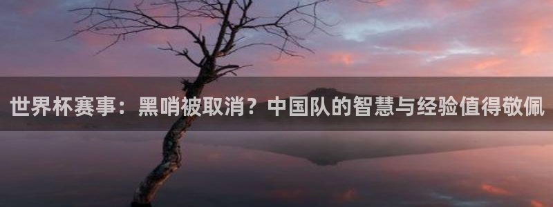 免费足球比赛直播高清：世界杯赛事：黑哨被取消？中国队的智慧与经验值得敬佩