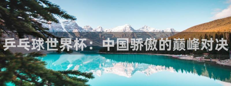 2026世界杯买球：乒乓球世界杯：中国骄傲的巅峰对决