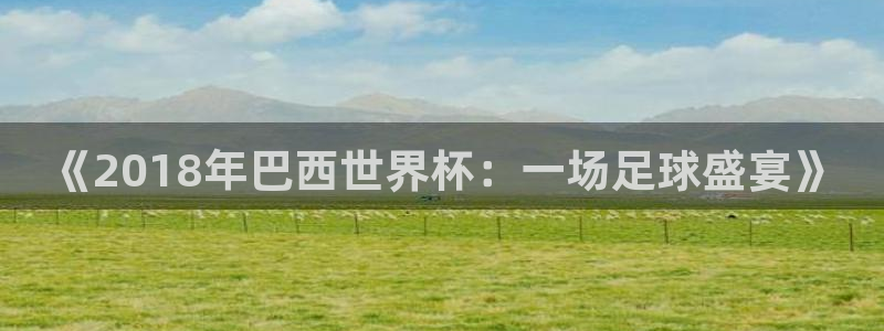 世界杯比赛直播：《2018年巴西世界杯：一场足球盛宴》