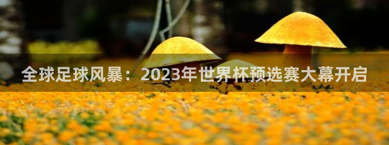 欧洲世预赛赛程表：全球足球风暴：2023年世界杯预选赛大幕开启