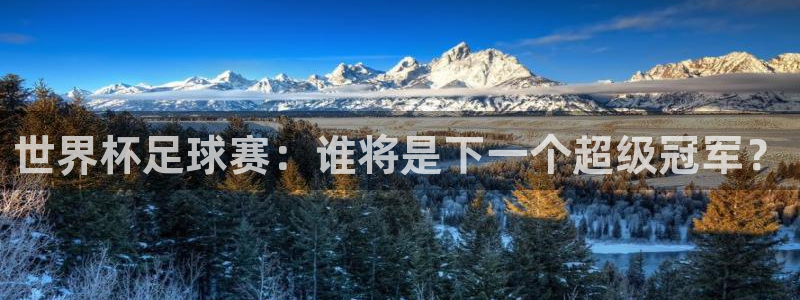 2026年世界杯赛程时间表格：世界杯足球赛：谁将是下一个超级冠军？