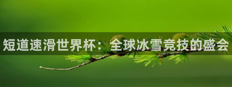 2026足球世界杯：短道速滑世界杯：全球冰雪竞技的盛会