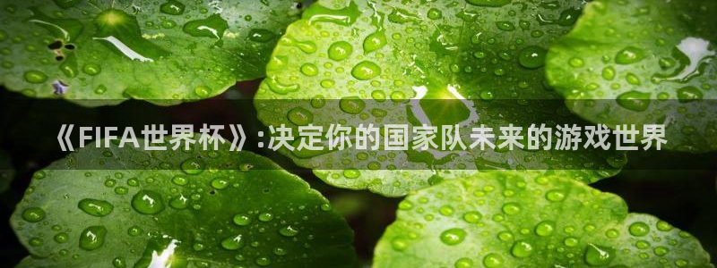 世预赛赛程表：《FIFA世界杯》:决定你的国家队未来的游戏世界