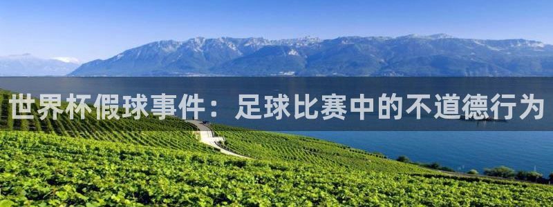 世界杯官网：世界杯假球事件：足球比赛中的不道德行为