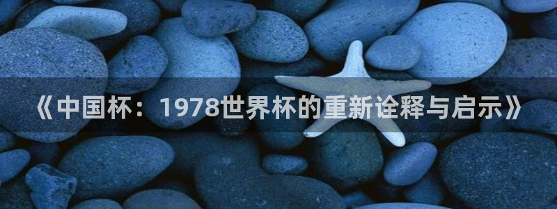 世界杯48支球队赛制：《中国杯：1978世界杯的重新诠释与启示》