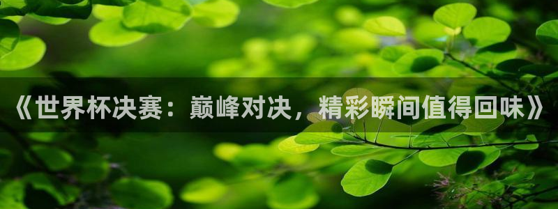 世界杯足球赛：《世界杯决赛：巅峰对决，精彩瞬间值得回味》