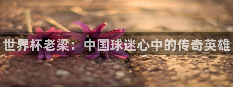 亚洲杯比赛直播：世界杯老梁：中国球迷心中的传奇英雄