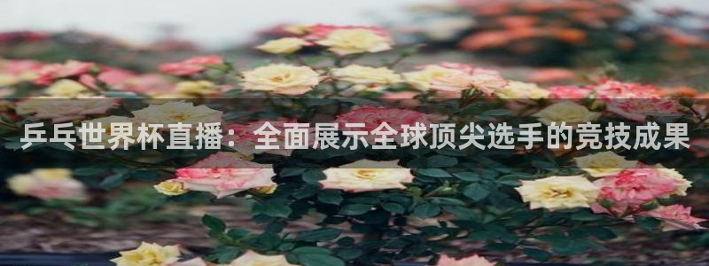 世界杯在线直播：乒乓世界杯直播：全面展示全球顶尖选手的竞技成果