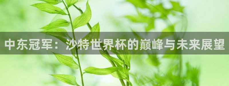 世界杯比赛时间：中东冠军：沙特世界杯的巅峰与未来展望