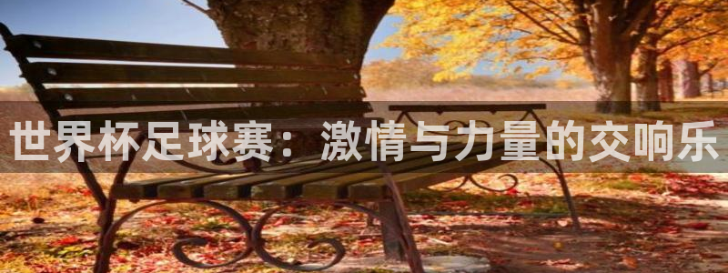 男足世界杯预选赛赛程：世界杯足球赛：激情与力量的交响乐
