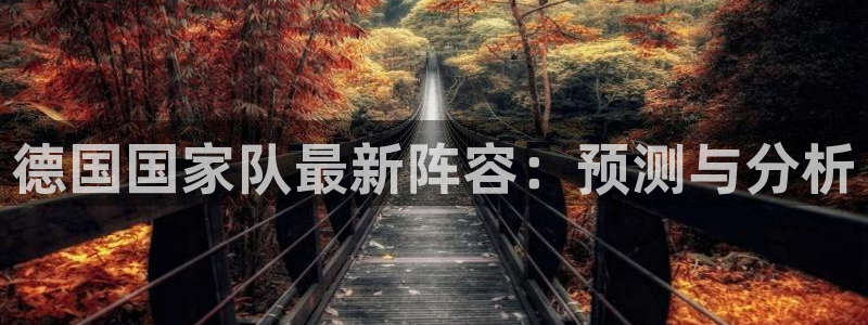 世界杯第一场比赛：德国国家队最新阵容：预测与分析