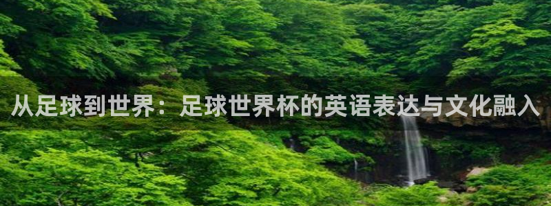世界杯足球直播：从足球到世界：足球世界杯的英语表达与文化融入