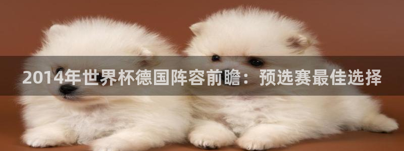 世界杯足球赛2026：2014年世界杯德国阵容前瞻：预选赛最佳选择